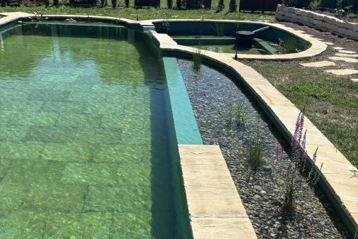 Uferzone des Schwimmteiches