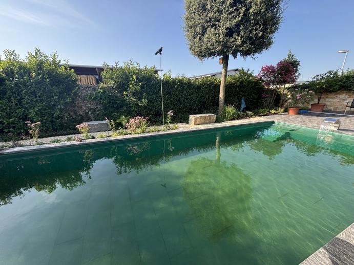 Ein BioPool von Hortus Aqua